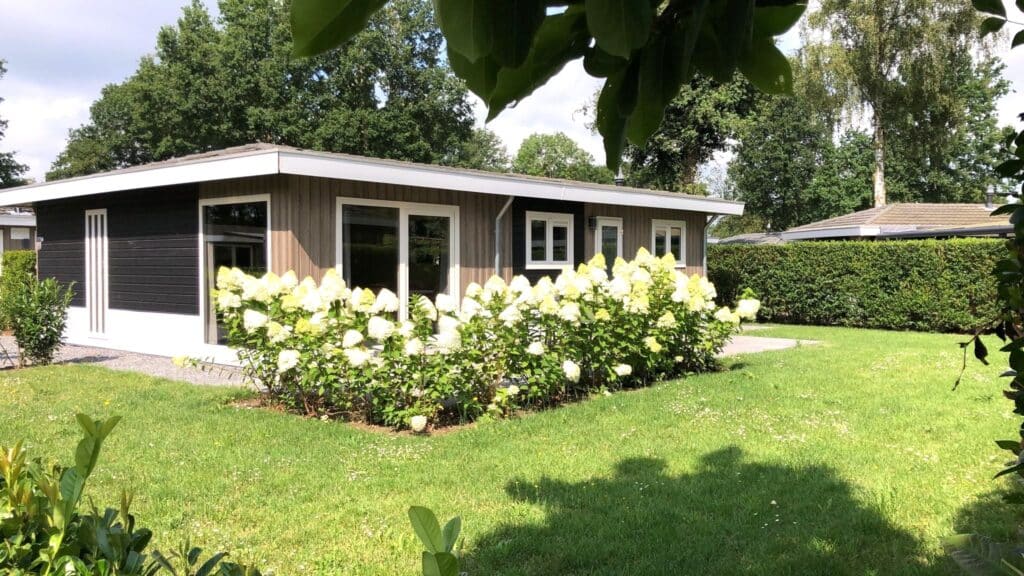 vakantiehuis vakantiehuis Limburg EuroParcs Limburg vakantiehuis EuroParcs Type Hackfort Hackfort 6 personen 6 persoons vakantiehuis kavel 434 recreatiewoning vakantiehuis te koop huisje in Limburg bungalowpark Limburg recreatiepark vakantiewoning EuroParcs vakantiehuis Nederland vakantiehuis kopen vakantiebungalow familievakantiehuis vrijstaand huisje luxe vakantiehuis weekendhuis Limburg recreatiebungalow bosrijke omgeving rustig gelegen huisje vakantiehuis met tuin parkhuisje recreatievakantie weekendje weg vakantie in Nederland vakantiehuis dichtbij natuur kindvriendelijk vakantiehuis huisje huren Limburg 6 personen bungalow